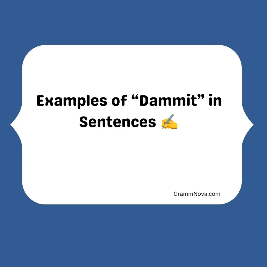 Examples of “Dammit” in Sentences