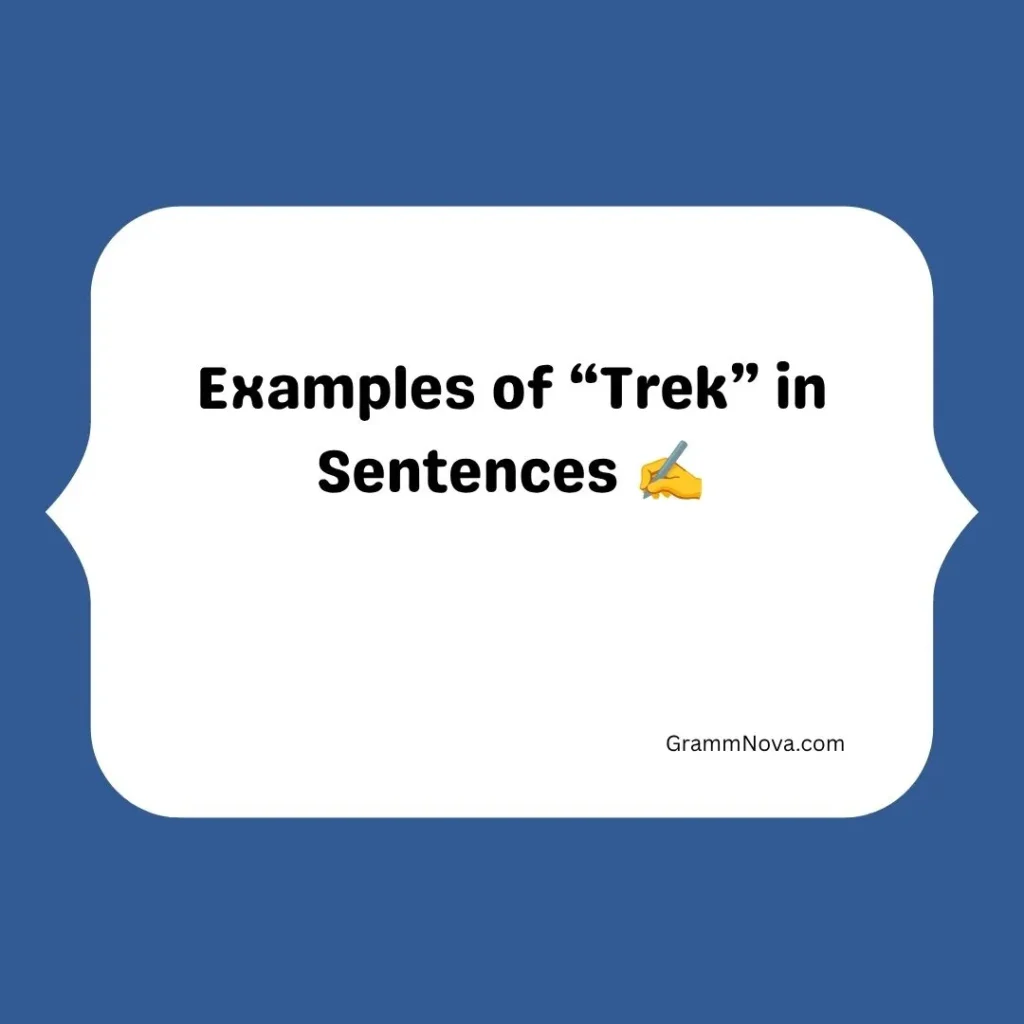 Examples of “Trek” in Sentences