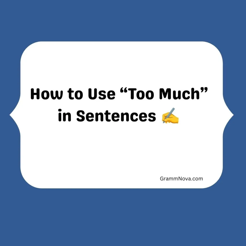 How to Use “Too Much” in Sentences