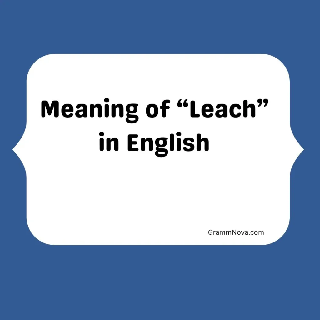 Meaning of “Leach” in English