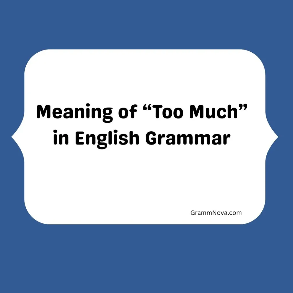 Meaning of “Too Much” in English Grammar