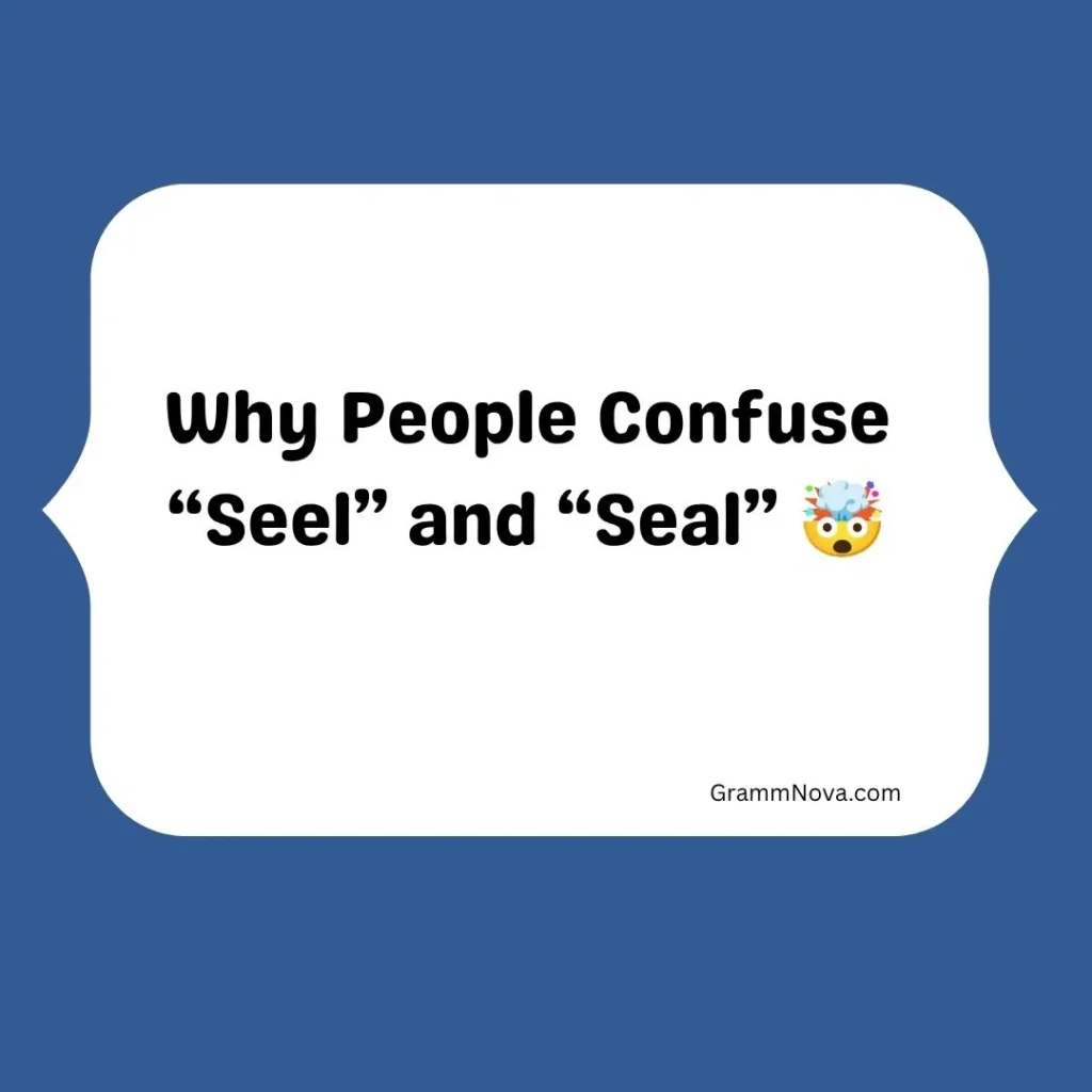 Why People Confuse “Seel” and “Seal”