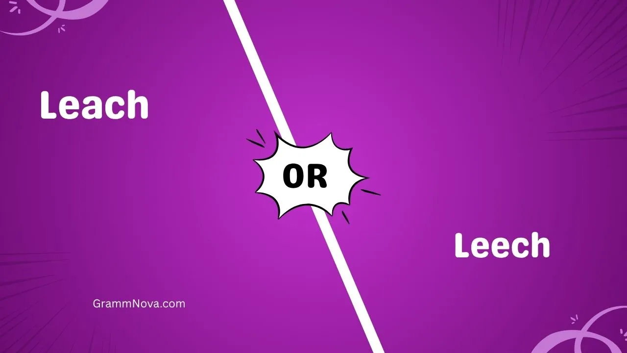 Leach or Leech