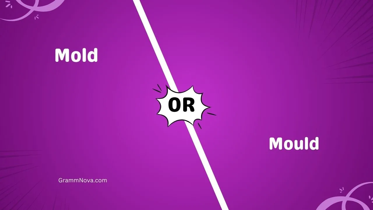Mold or Mould 