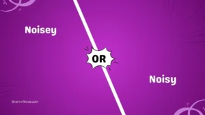 Noisey or Noisy