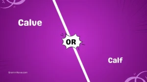 Calve or Calf