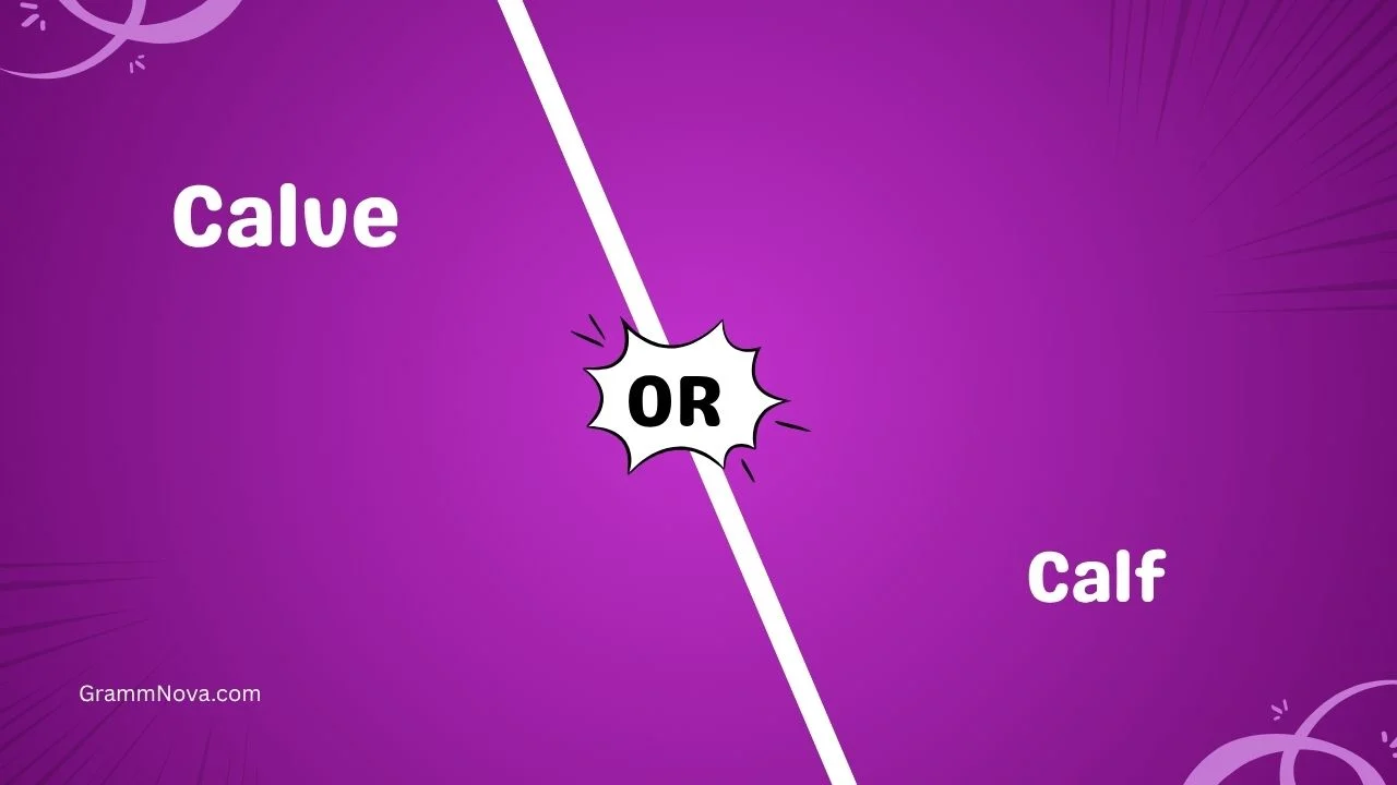 Calve or Calf